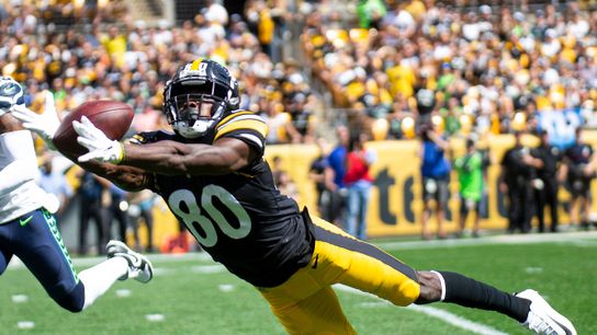 Steelers' Holton said official regretted throwing flag taken at Rooney Complex (Courtesy of Mike's Beer Bar)