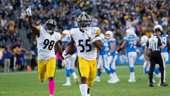 AFC North: Youth reigns at off-ball linebacker taken on the North Shore (Steelers)