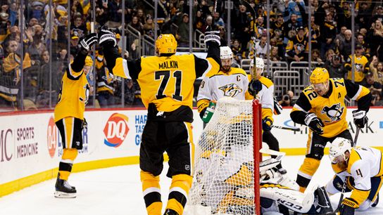 Sullivan: 'It's like you're fighting human nature' taken at PPG Paints Arena (Penguins)