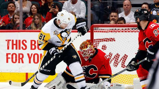 Seven points of eight? In these conditions, sure taken in Calgary, Alberta (Penguins)