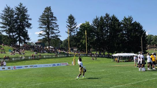Kovacevic: Steelers' toughest call, Pirates' stupidity, Bonds' fate taken in Latrobe, Pa. (Pirates)