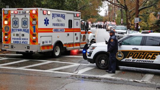 City's sports react to Squirrel Hill shooting taken in Downtown (ZZArticles)