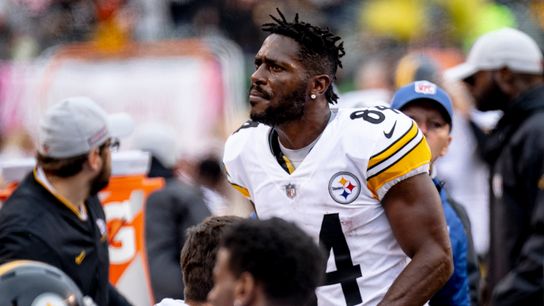 Will Brown meet with Rooney or not? taken at Rooney Complex (Steelers)