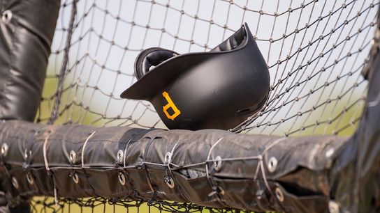 Minicamp prequel to spring training for Pirates taken in Bradenton, Fla. (Courtesy of StepOutside.org)
