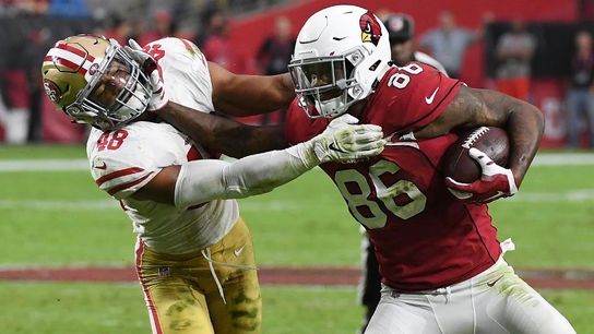 Eyeing Steelers' pool at nose tackle, safety, tight end taken at Rooney Complex (Steelers)