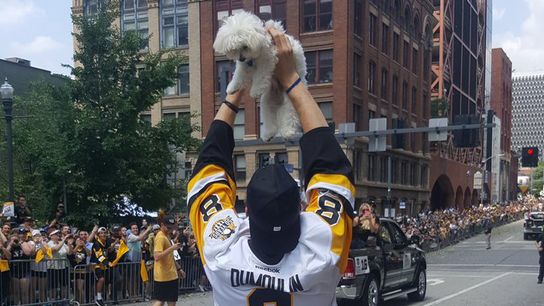 Best social media posts from the Cup parade taken at Highmark Stadium (Penguins)