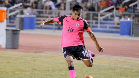 Hounds add rookie midfield playmaker taken at Highmark Stadium (Hounds)