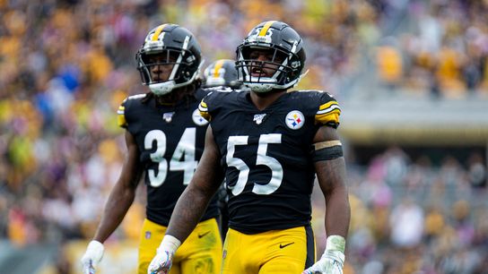 Bush predicts Edmunds taking 'one to the crib' taken at Rooney Complex (Steelers)