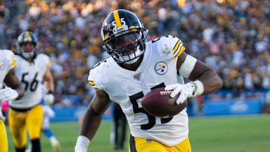 Baldinger loves Bush's game: 'This guy's a freaking cobra' taken at Rooney Complex (Steelers)