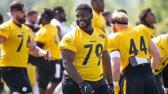 Hargrave, Tuitt might offer different looks taken at Rooney Complex (Steelers)