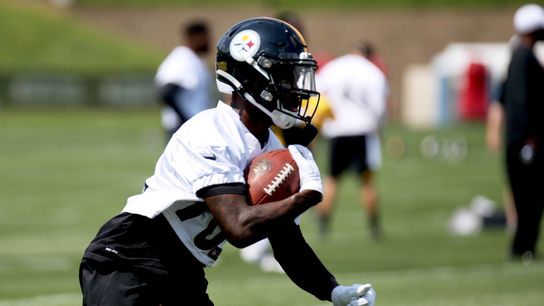 Roethlisberger impressed by rookie Johnson after test run: 'He was barely breathing' taken in Latrobe, Pa. (Steelers)