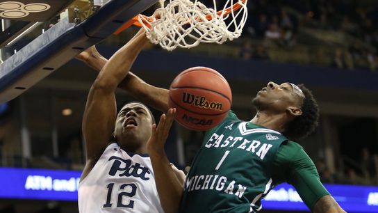 Kovacevic: Panthers shaky in Stallings' debut but prevail ... and that's OK taken at Petersen Events Center (DK'S GRIND)