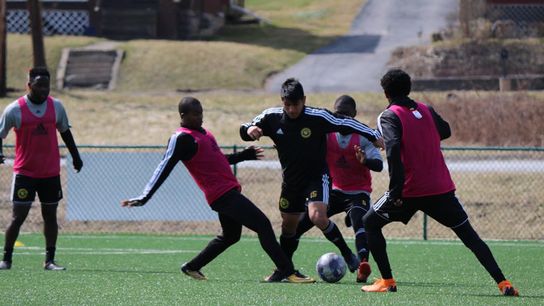 Collected Hounds squad ready to rebound taken at Highmark Stadium (Hounds)