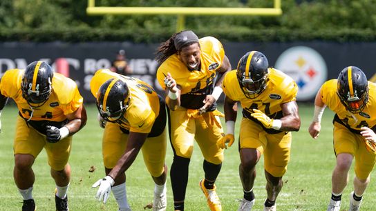 Steelers look to blindside Browns' rookie tackle taken at Rooney Complex (Steelers)