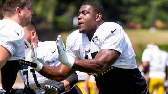 Steelers sign Harris, Malleck, place two on IR taken at Rooney Complex (Steelers)
