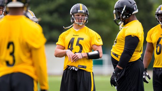 Former Panthers linebacker Galambos earns contract with Steelers taken at Highmark Stadium (Steelers)