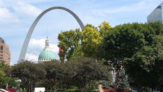Kovacevic: Heed the heart over the brain taken in St. Louis (DK'S GRIND)