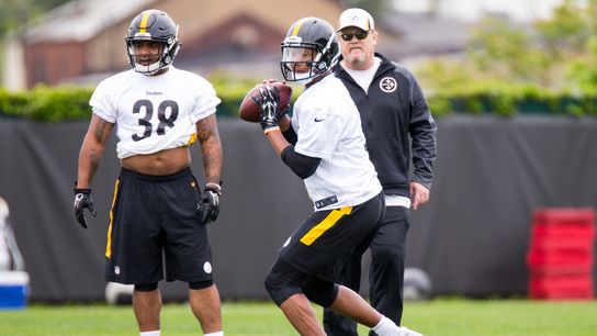 Tomlin opts not to bring back Haley, Fichtner to replace him taken at Rooney Sports Complex (Steelers)
