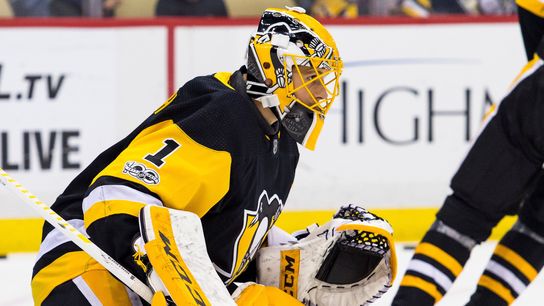 Murray out with concussion, prognosis unclear taken at PPG Paints Arena (Penguins)