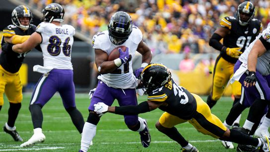 Updated division odds show Steelers looking up at Ravens taken in Hagerstown, Md. (Steelers)