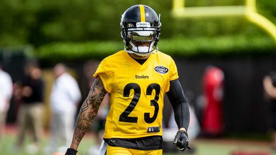 Are Steelers underdogs in 2019? Haden thinks so taken at Rooney Complex (Steelers)