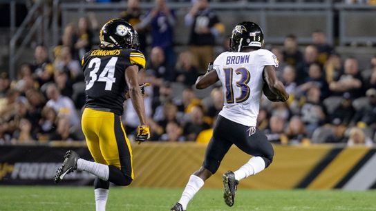Browns, Ravens near full strength for Week 17 taken at Rooney Complex (Steelers)