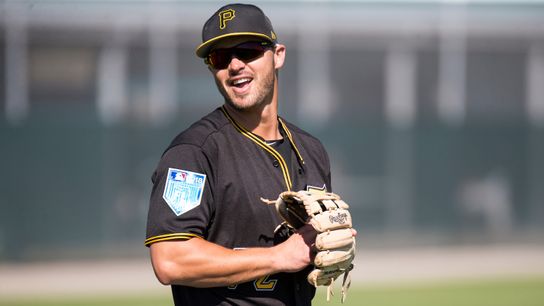 Roster move: Kramer up, DuRapau down taken at PNC Park (Courtesy of StepOutside.org)