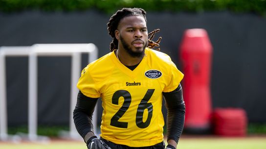 Barron calls Bush 'good, young talent' taken at Rooney Complex (Steelers)