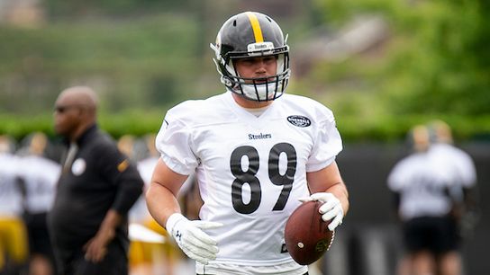Camp preview: McDonald gets to start fresh taken at Highmark Stadium (Steelers)