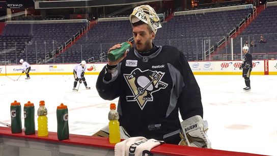 Penguins recall Sestito, get Sheary back taken in Washington (Penguins)