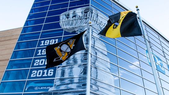 Kovacevic: Chemistry, Common cause ... and Cullen's face taken in Cranberry Township, Pa. (Penguins)