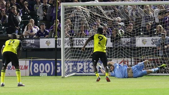 Hounds bring extra bite to beat champs in Louisville taken at Highmark Stadium (Hounds)