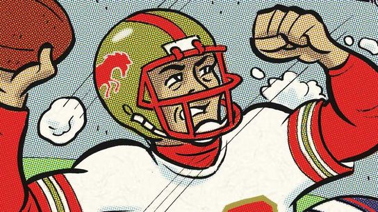 Cartoon Canon: Snowballs for Stoudt! taken in Richmond, Va. (Steelers)