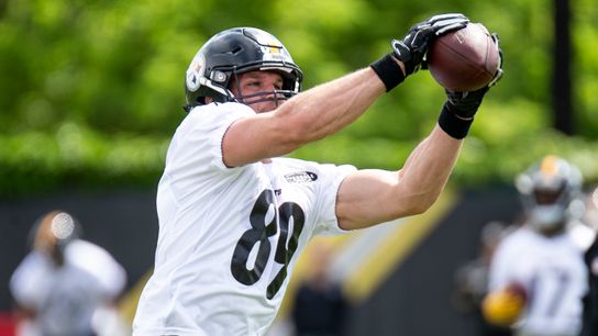 McDonald welcomes 'hard' challenge of replacing AB taken at Rooney Complex (Steelers)
