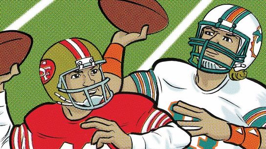 Cartoon Canon: Hometown QBs! taken in Richmond, Va. (Steelers)