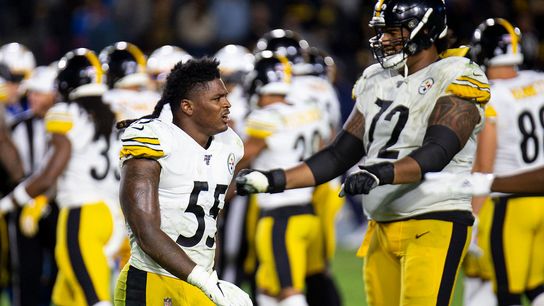 Banner roasts Heyward, Bush tags in for finisher taken on the North Shore (Steelers)