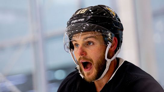 Team takes bite out of Galchenyuk/spider tale taken in Cranberry, Pa. (Penguins)