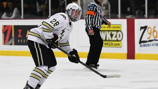 Scouting report: Lee a mobile, offensive defenseman taken on the North Shore (Penguins)