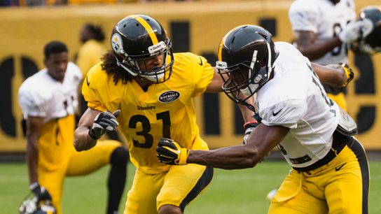 Carter at camp: Cockrell, Sensabaugh show starting potential taken at Heinz Field (Steelers)