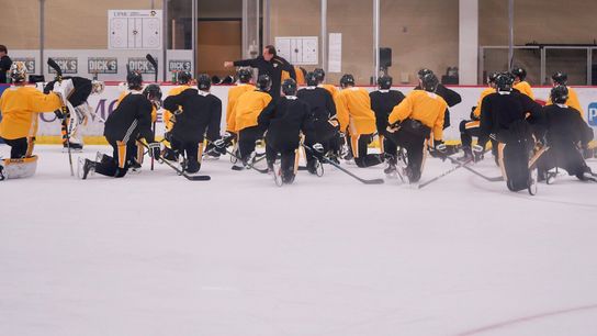 Kovacevic: NHL only contributes to panic taken in Cranberry, Pa. (Penguins)