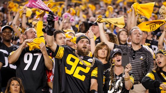 NFL owners approve expanded postseason taken on the North Shore (Steelers)