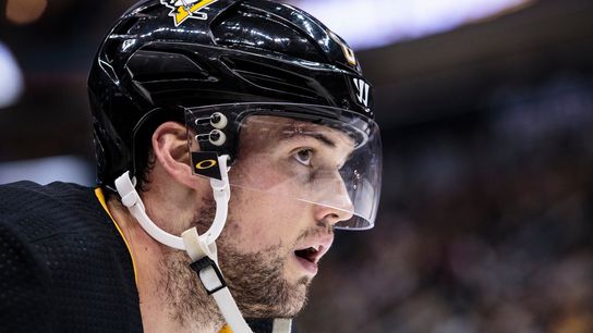 The 2019-20 prospectus: Brian Dumoulin taken at PPG Paints Arena (Courtesy of Point Park University)