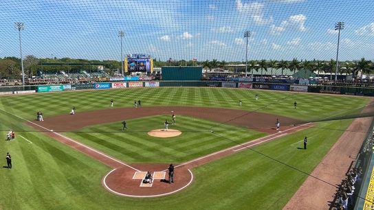 Pirates lose what could be final game for a long time taken in Bradenton, Fla. (Pirates)