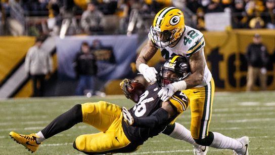 Colbert: Bostic, Burnett won't alter draft plan taken in Orlando, Fla. (Steelers)