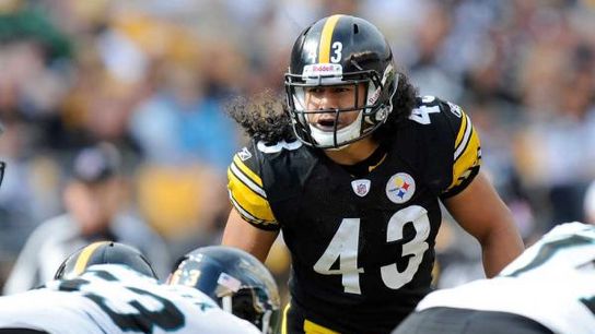 Football world reacts to Polamalu selection taken at Petersen Events Center (Steelers)