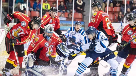 Prospect Watch: D'Orio's fresh start taken at PPG Paints Arena (Penguins)