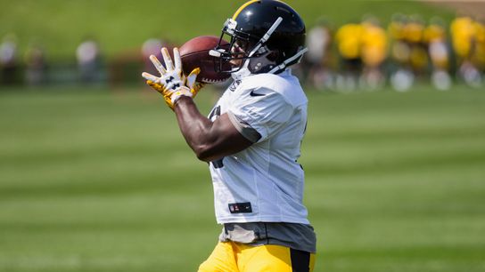 Carter at camp: Toussaint is Friday's player to watch taken in Latrobe, Pa. (Steelers)