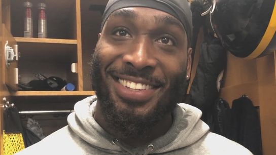Skipper's back, ready to swim with 'real sharks' taken at Rooney Complex (Steelers)