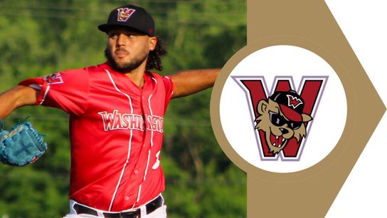 Comeback attempt falls short in series opener taken in Evansville, Ind.