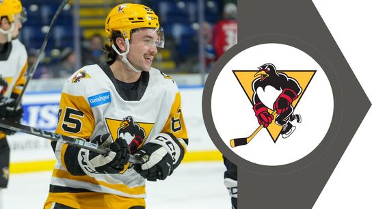 Another hat trick for Hayes taken in Wilkes-Barre, Pa. (PENGUINS (AHL))